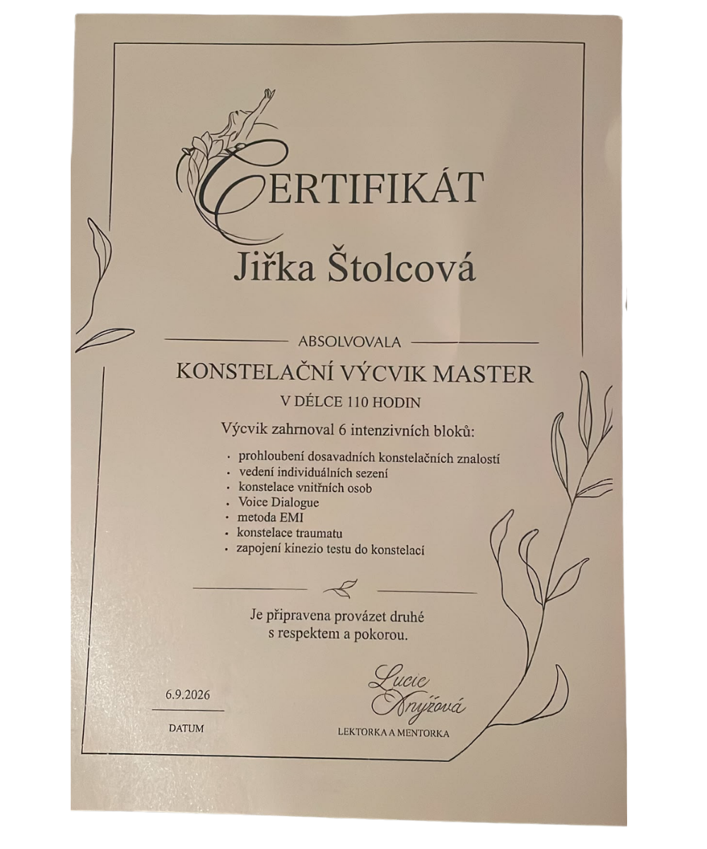 jirka_stolcova_konstelacni_vycvik_master